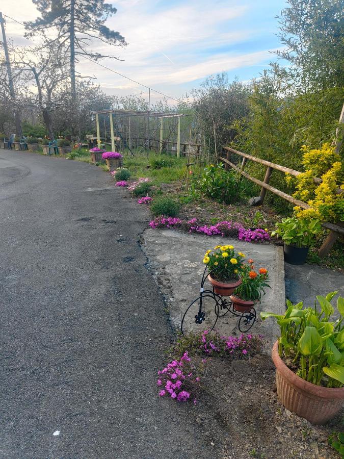 Il Giardino Dei Pavoni Ξενοδοχείο Soviore Εξωτερικό φωτογραφία